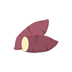 sweet potato flat design vector illustration. Natural food, veggies icons. Flat vector illustration isolated on white background. 