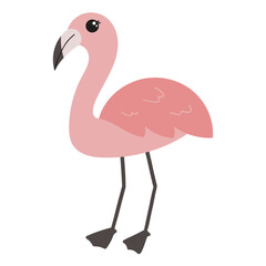 Exotic flamingo animal illustration