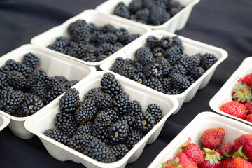 Close up of Freshly harvested organic blackberries in sustainable, compostable and recyclable containers at Trout Lake Farmer's Market in British Columbia