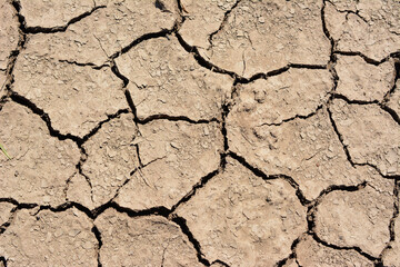 background of brown cracked soil with a crack in the middle top view 