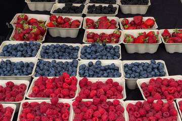 Freshly harvested organic blueberries, raspberries, strawberries and black berries in sustainable. compostable and recyclable containers at Trout Lake Farmer's Market in British Columbia