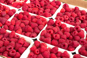 Freshly harvested organic raspberries in sustainable. compostable and recyclable containers at Trout Lake Farmer's Market in British Columbia