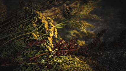 Sonnenblumen, Pferden und Grashupfern Schmetterlingen Blumen