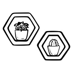 Diamond shaped shelves with potted succulents hand drawn doodle. Wall decorations. Home interior design. Vector outline line art illustration.
