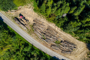 Fototapety na wymiar - Fototapeta24.pl