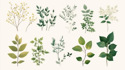 A set of beautifully designed natural foliage, with a cute and decorative touch, ideal for botanical and nature-themed projects.