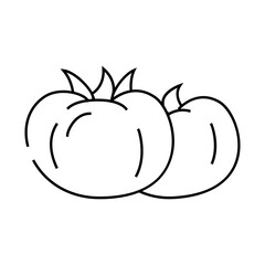tomatoes of various colors line icon vector. tomatoes of various colors sign. isolated contour symbol black illustration