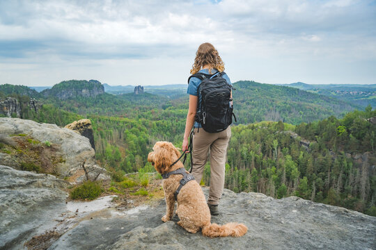 person with dog at falkenstein in saxon switzerland