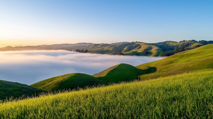 Fototapeta premium the hills are green and the sky is clear