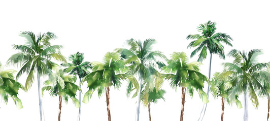 Obraz premium Seamless Horizontal Watercolor Summer Palm trees isolated on transparent background PNG