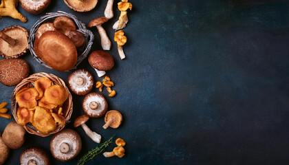 Flatlay. View from above. copy space. A set of mushrooms
