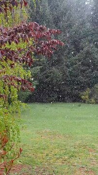 snow in summer in villa de angostura in traful area in argentina in patagonia mountains