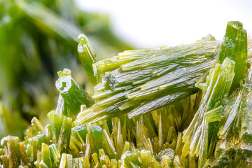 Green Pyromorphite from la Mine des Farges, Ussel, France. macro photography detail texture...