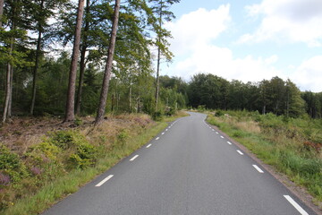 Fototapeta premium Strasse in Schweden