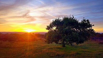 Golden Hour, Sunset Over Stanton Moor, Derbyshire, Peak District National Park, UK, Heather In Bloom, Landscape Photography