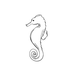 Cute line technique sea horse. Hand drawn  elements. Sea animals. Vector doodle marine life objects for your design.