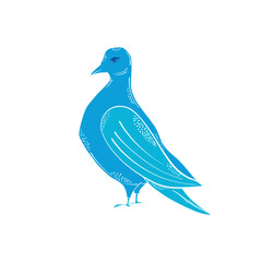 Cute blue pigeon. Hand drawn  elements. Animals, bird. Vector doodle  objects for your design.