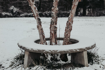 Winter Wonderland Album