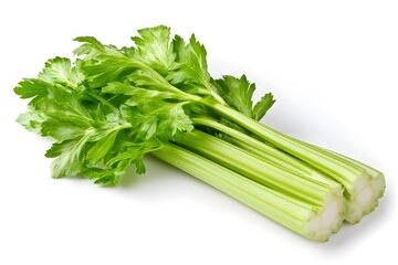 Fresh Celery Stalks with Leaves Isolated on White Background.