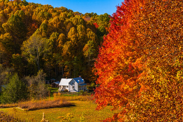 Fall colors of deciduous trees highlight the old farm stead in Roan Mountain Tennessee