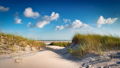 beach sand dunes in new smyrna beach in sunny day florida