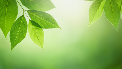 Tekstura zielone liście w słońcu, tapeta generative ai 
