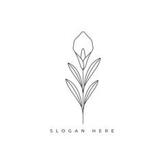 calla lily logo flower logo line minimalist vector design
