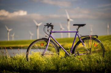 Green holidays in Zeeland, Netherlands