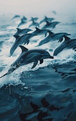 Fototapeta premium A group of dolphins are swimming in the ocean. The water is blue and the sky is white