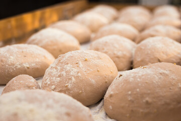 Bread preparation. loaves of dough before baking