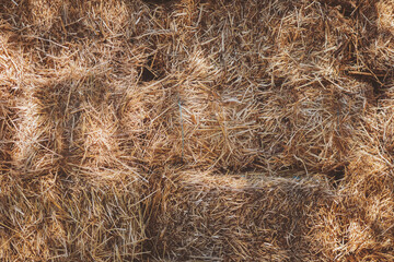straw background texture, abstract natural. Stack hay bales. Texture dry hay harvest. 