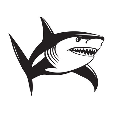 recommend clip art: Hammerhead Shark Clipart, Hammerhead Shark Fish Outline, Shark silhouette, Shark Fish illustration black and white 