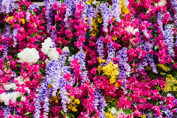Fototapeta premium Photo background texture, wall of various multi-colored southern flowers.
