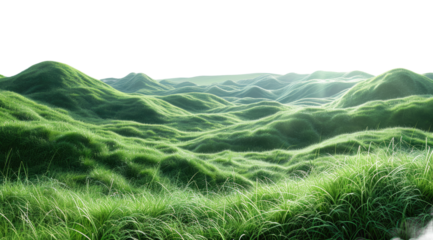 Green meadow isolated on a transparent background for web, banner, wallpaper