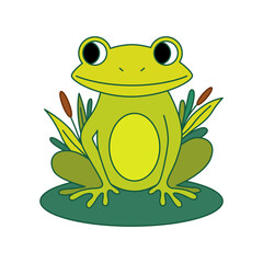 Cute green frog character isolated on white background. Vector cartoon illustration.