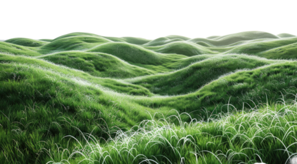 Green meadow isolated on a transparent background for web, banner, wallpaper