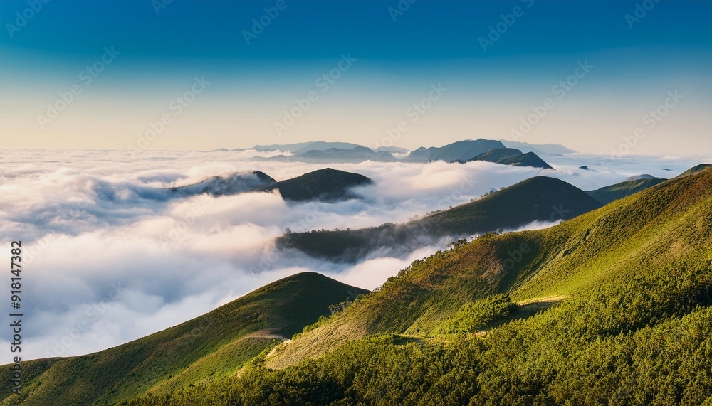 Wall mural scenic landscape with hills in the sea of clouds