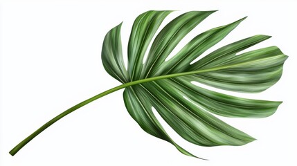 Obraz premium Realistic Green Palm Leaf Isolated on White Background for Tropical and Summer Designs Generative AI