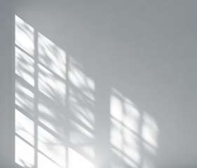 Shadows of leaves cast across a light wall from a window, cut out