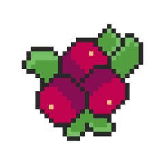 Fototapeta premium cranberries pixel art for your needs 