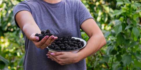 a woman holds a bowl of blackberries in her hands. Selective focus