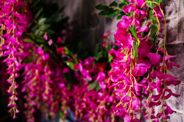 Obraz premium Close-up of bright pink flowers