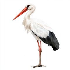 Ethereal White Stork in Watercolor, Gracefully Solitary on a Pristine White Canvas. A Visionary Wildlife Art Blending Abstract Strokes with Hints of Realism.