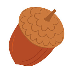 Acorn. Oak tree fruit. Hand drawn trendy flat style isolated on white background. Vector illustration