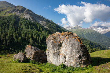 in the alps, Val S-charl, Scuol, lower Engadine, Swiss
