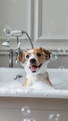 Cute dog in bubble-filled vintage bathtub, enjoying bath time surrounded by soap suds and foam.