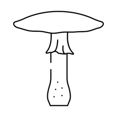 toadstool mushroom line icon vector. toadstool mushroom sign. isolated contour symbol black illustration