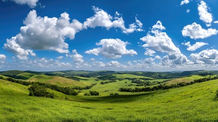 Obraz premium A wide panoramic view of rolling green hills and lush meadows under a bright blue sky dotted with white clouds.