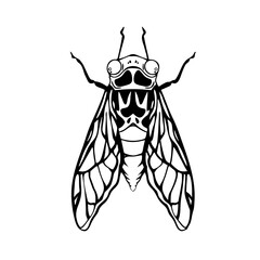 wasp vector illustration