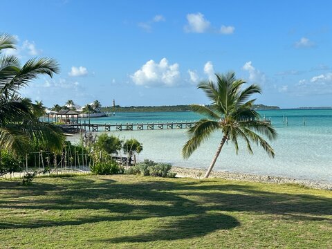 Ocean View Abacos Bahamas with Palm Tree and boat dock